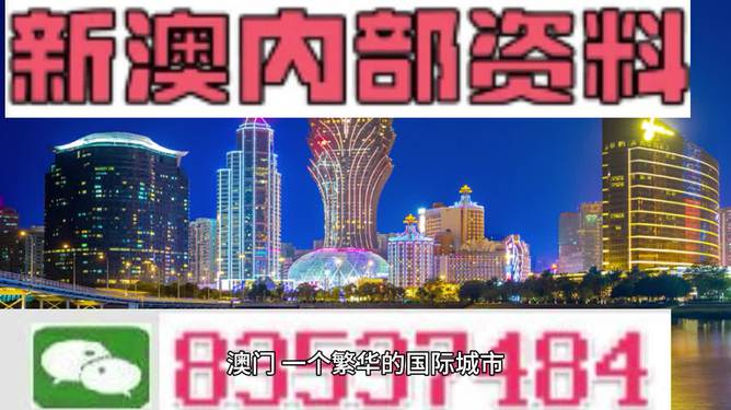 2024新奥精准正版资料,探索未来，2024新奥精准正版资料的深度解析