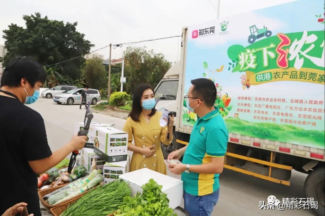 广东莞丰食品有限公司，品质卓越，引领食品行业新风尚