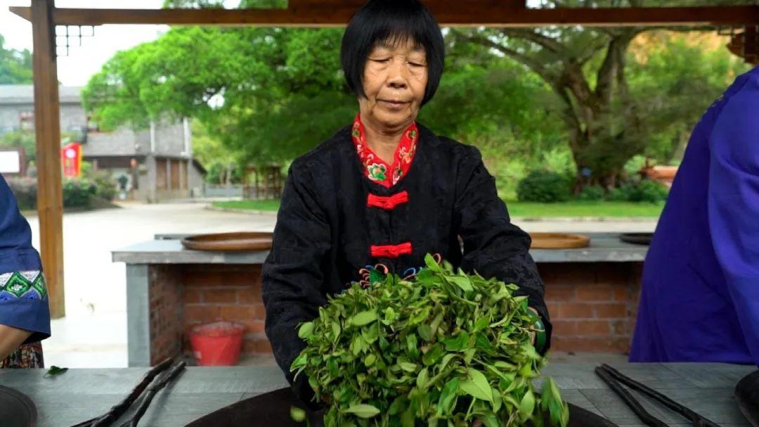 广东省的妈妈茶，传统与现代的交融