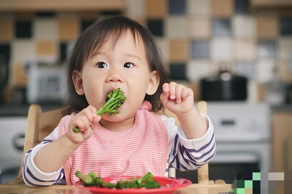 关于8个月宝宝手指食物的探索