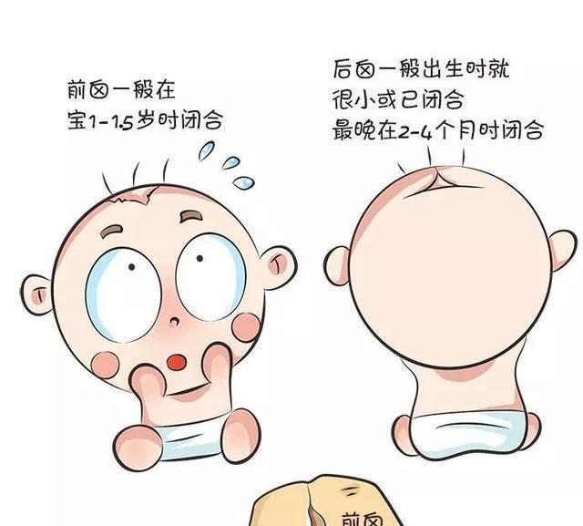 九个月婴儿囟门大小标准解析