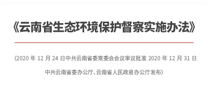 广东省督办平台，推动政府效能提升的关键力量