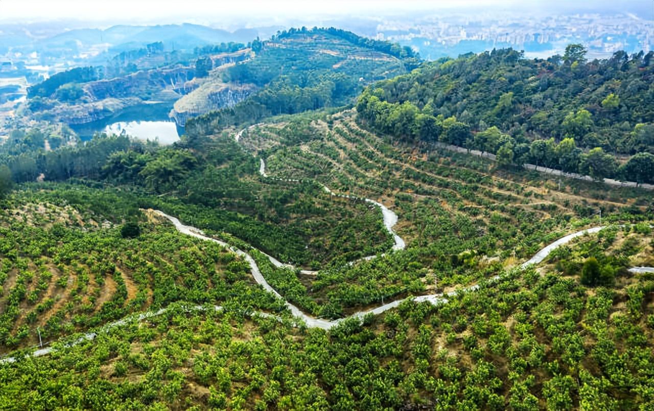 广东省化州市邮政编码及其重要性