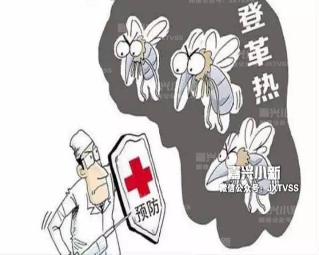 连续腹泻两个月，症状解析与应对之策