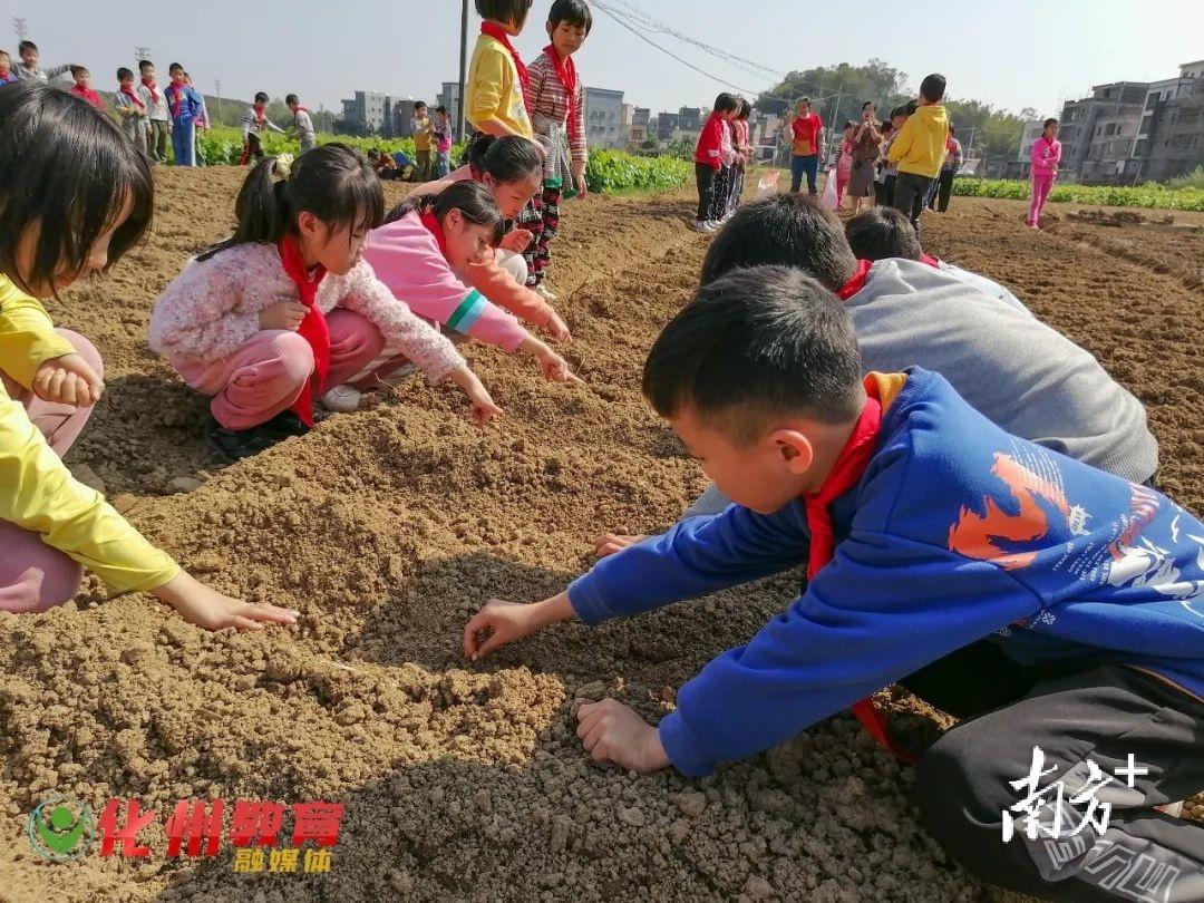 广东省化州市那务市场的繁荣与变迁