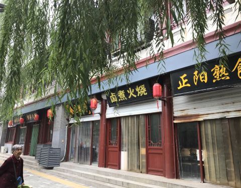 广东省博物馆周边探秘，历史、文化与美食的交融之地