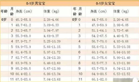 婴儿8个月发育标准