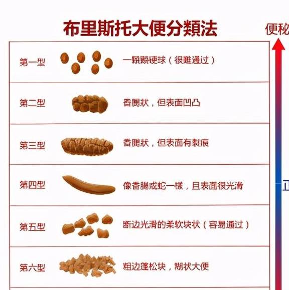 四个月拉绿屎，一种不寻常的健康状况及其原因