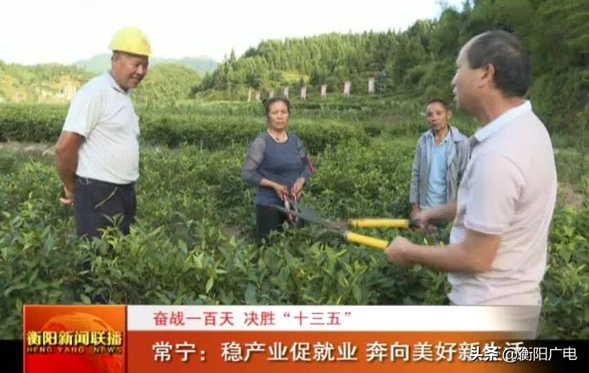 江苏省常宁市科技特派员的探索与实践