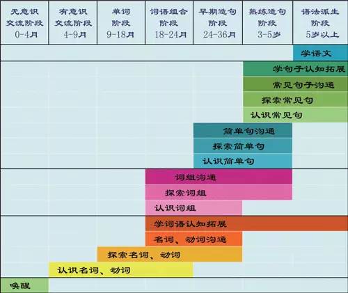 英短成年时间解析，成长的过程与关键阶段